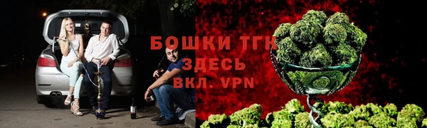 прущие грибы Няндома