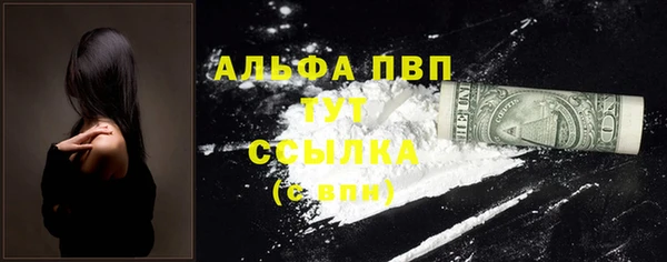 прущие грибы Няндома