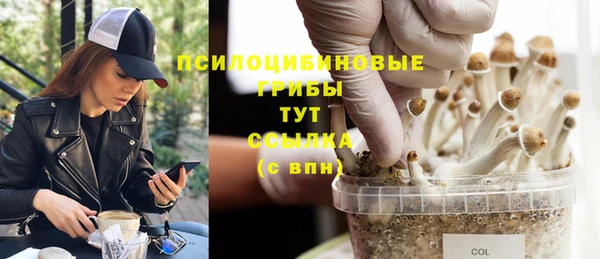 Альфа ПВП Алзамай
