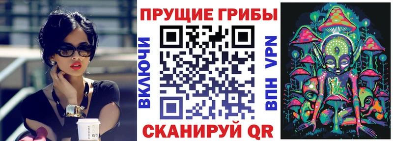 гидра рабочий сайт  Шахты  Галлюциногенные грибы Psilocybine cubensis 