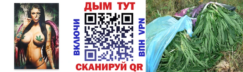 сайты даркнета Telegram  Шахты  Бошки марихуана план  сколько стоит 