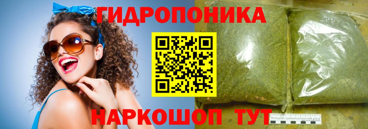 МАРИХУАНА семена Шахты